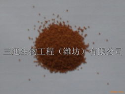如何选择优质的水产饲料 鱼饲料、饵料与饲料的全面指南