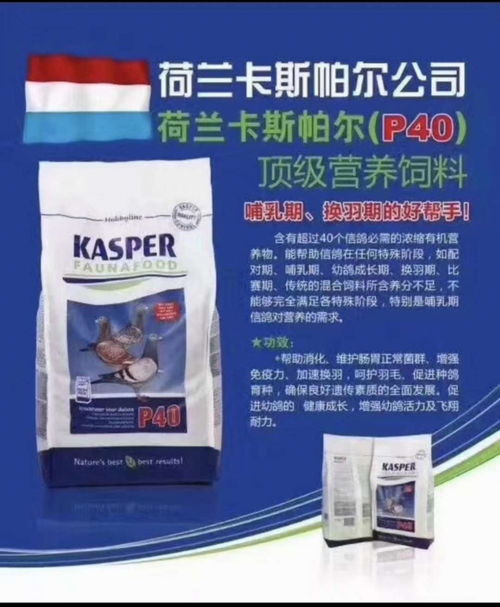 P40膨化饲料 高效养殖的卓越之选
