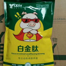 庆阳农牧新引擎 探寻本地营养性饲料添加剂的领先厂家与发展前景