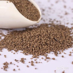 对虾配合饲料的科学管理方法
